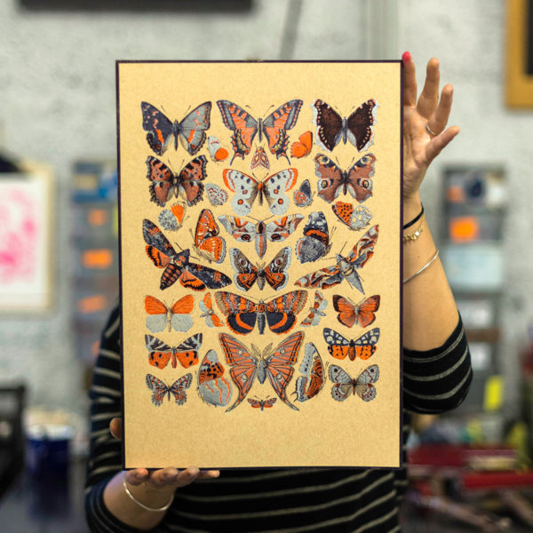 papillons - Silence des agneaux - histoire naturelle - affiche - poster - letterpress - Lyon - Super Marché noir