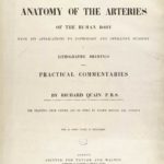 Richard Quain - Anatomy of the arteries